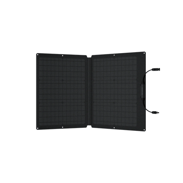 Сонячна панель EcoFlow 60W Solar Panel EFSOLAR60 фото